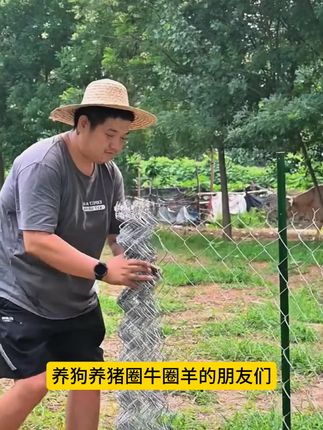 #圈地养殖网 #勾花网 #防护网 #围栏 #隔离网
