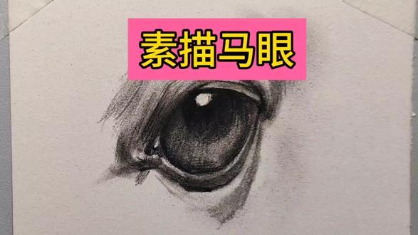 素描马眼睛的画法#绘画教程 #素描#手绘#画画#绘画