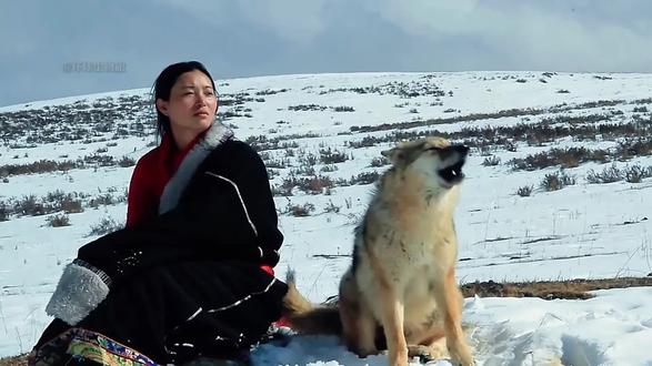 狼王格林(下)#李微漪和格林的故事 #狼王格林