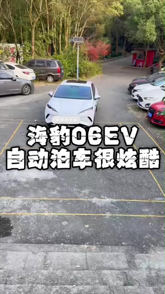 #一般人不告诉他 #比亚迪 #海豹06EV 自动泊车真的太实用了