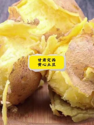 甘肃特产 2025新鲜黄皮黄心土豆 净重包邮粉面洋芋马铃薯#软糯面沙 #超好吃 #甘肃黄皮黄心土豆 #烤洋芋 #自用好物分享 @DOU+小助手