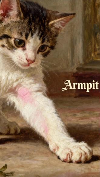 学英文,学个搞笑的 “嘎吱窝”
腋下、嘎吱窝 - Armpit
腋毛 Armpit hair #你学会了吗