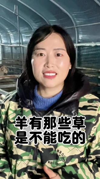 羊有那些草不能,那些草不能吃#养羊#养羊技术 #养羊人 #养羊创业 #养羊知识