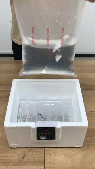 今天教练大家怎么使用咱们的水床孵化箱,真的非常好用!!#水床孵化器 #人工孵化 #鸡蛋的孵化过程 #好物推荐 #人工孵化