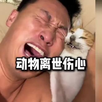 #养宠物哪有不疯的 #宠物离世后 #萌宠出道计划 #拒绝废话#科普#冷知识#省流 #禁止废话#省流#冷知识#科普#dou是知识点