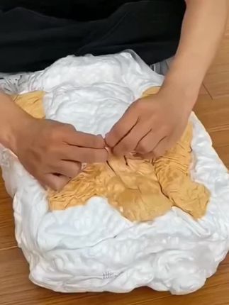 #抱枕#毛绒玩具#大白鹅抱枕#大自鹅毛绒玩具#靠枕抱枕