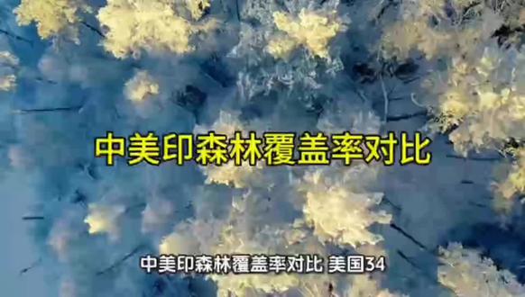 美、印、中三国森林覆盖率对比