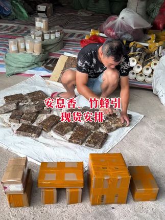 #安息香#竹蜂 每天都在给老板们安排,竹蜂爆发季,有想法的老板欢迎咨询,免费教学,拿来换米咯🥳#农村生活 #户外 #我的乡村生活