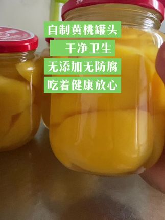 自制水果罐头,怎么少得了这款无铅玻璃瓶,耐高温可蒸煮,还可反复使用,金属密封盖密封性好,不跑气不漏气,做好的食物可储存一年#耐高温玻璃罐#纯手工零添加 #水果罐头 #上热门🔥