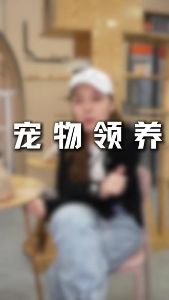 如果你也想领养一只,来找我们吧#宠物 #宠物洗护 #猫咪 #狗狗 #包头