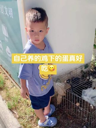 #鸡下蛋 #纯天然绿色食品