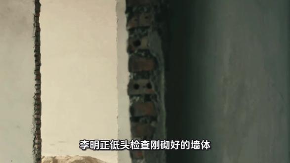 模仿现在黑心砖