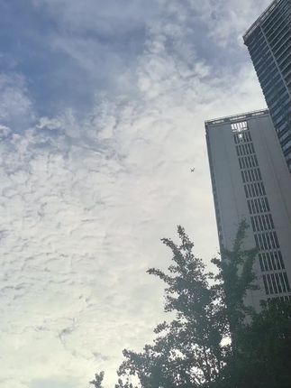 #每日好物分享更新