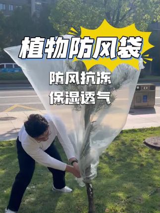 绿植物防冻保温袋塑料膜花卉盆栽过冬保护罩树木防寒布防尘袋透明花草植物防冻袋套