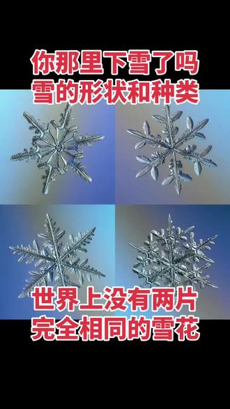 你那里下雪了吗?世界上没有两片完全相同的雪花!雪有哪些形状和种类?#雪#形状#种类#你那里下雪了吗#世界上没有两片完全相同的