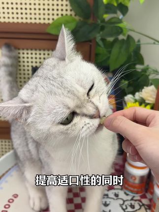 适口性好,帮助猫咪温和排毛!#养猫新手 #萌宠好物 #普安特化毛球片