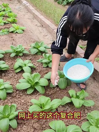 这个氮磷钾#复合肥 好用不贵,肥效温和持久不烧根苗,做底肥和追肥都好用,家里的蔬菜花卉果树都能用。#种菜肥料推荐 #蔬菜种植 #在家种菜 #肥料