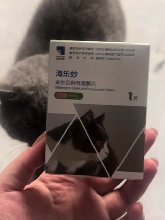 家里有毛孩子的、快快安排起来 #猫猫的铲屎官 #养猫 #养猫人 #驱虫 #养猫新手