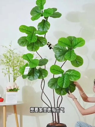 仿真琴叶榕绿植#室内绿植 #仿真绿植 #仿真绿植景观 #仿真琴叶榕 #琴叶榕