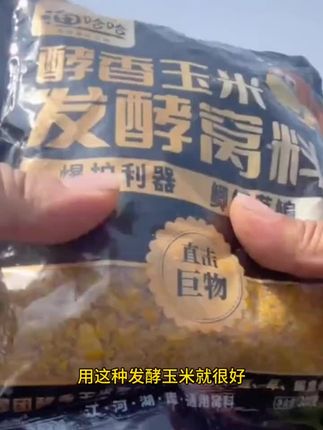 #发酵玉米 #发酵玉米钓大鱼 #发酵玉米窝料 #钓鱼 #钓鱼人