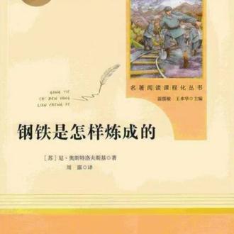 #读书分享 #文学经典 #钢铁是怎样练成的 今天带大家读《钢铁是怎样炼成的》10-12章
保尔养好伤后,一边悼念牺牲的红军战友
一边寻找昔日伙伴,重返岗位坚守初心
越读越明白,钢铁般的意志,从来都是磨出来的!