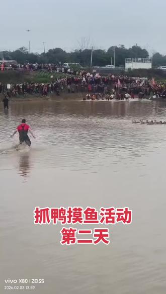 抓鸭摸鱼活动明天还有最后一天,没有来的朋友抓紧哦