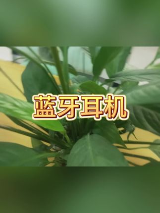 #蓝牙耳机 #无线蓝牙耳机 #耳机