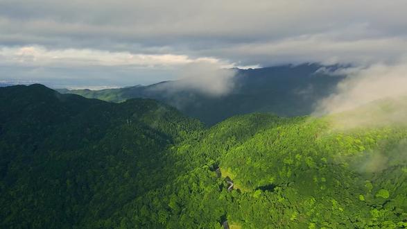 顺水山泉天然苏打水,打破中国东南部无苏打水矿脉的固有认知。顺水泉斥资近六亿锁定精准水源,建造智能工厂,用心做好水,坐健康水,纯天然无人为后期添加!#顺水山泉 #天然苏打水 #健康水 #网红饮品