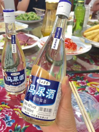 带上马尿,出来唠唠!#马尿酒 #喝就完了 #干杯吧朋友