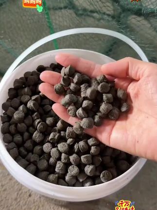 #黑蚯蚓羊油颗粒 #地笼爆护饵料 #下地笼 #地笼捕鱼