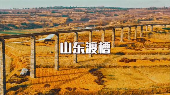 渡槽,又称高架水渠,是由桥梁、隧道或沟渠构成的输水系统,用于引水灌溉与饮用。上世纪六七十年代,全国兴起修建渡槽的热潮,成为“敢教日月换新天”的精神象征。山东各地当年建造众多渡槽,如今虽多数失去原有功能,却作为乡村建筑遗存,依然具有保存与研究价值。仅日照市现存渡槽就有200余座,总长数万米,如七里渡槽、凤凰庄渡槽等,承载着一段艰苦奋斗的历史记忆。
这些高架渠多建于物质匮乏的年代,全凭人力以条石垒砌而成,既具实用功能,亦展现劳动人民的智慧与毅力。几十年过去,它们依然矗立于大地,如同无言的史诗,既是特殊年代的水利丰碑,也是峥嵘岁月中崛起的“地上长城”。#时代记忆 #红旗渠精神 #渡槽 #历史古迹