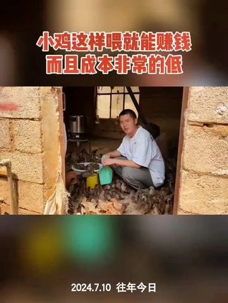 #养鸡#小鸡#养鸡小妙招 #多维牛磺酸#养殖