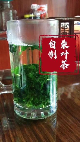桑叶茶您们那边有吗?知道喝了有什么用不,桑叶茶