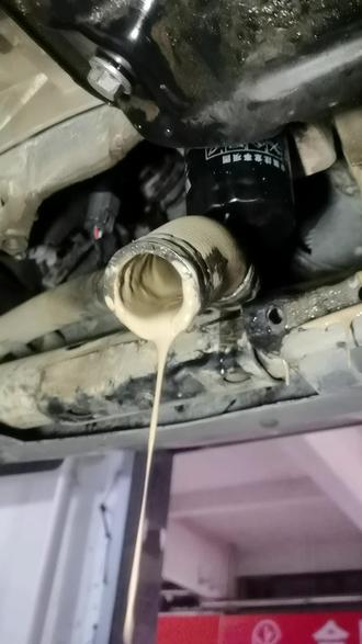 【巢湖车主信任首选!哈弗H6水温高“真凶”现身,机油散热器腐蚀竟让冷却液变“奶茶”!#巢湖余哥修车 #专业维修】
---
💡 故障现象
巢湖哈弗H6车主发现水温飙升,冷却液浑浊如“奶茶”,还飘着油花!别慌,这八成是机油散热器内部腐蚀穿了,机油和冷却液“串门”了!
🔥 痛点解析
1️⃣ 水温高开锅风险大,随时可能拉缸爆瓦!
2️⃣ 机油混入冷却液,润滑性能下降,发动机磨损加速!
3️⃣ 自行清洗治标不治本,腐蚀不根除,三天两头再复发!
🔧 巢湖余哥家维修方案
✅ 精准定位:20年经验一眼锁定故障,免拆机无效检测!
✅ 彻底更换:专用工具规范拆装,原厂件保障,拒绝副厂隐患!
✅ 系统清洗:专用清洗剂深度冲洗油道水道,杜绝残留乳化!
🌟 为什么巢湖车主都找余哥?
👉 专修国产SUV疑难杂症,哈弗H6修过上百台!
👉 公开透明报价,配件价格现场查,不玩猫腻!
👉 维修后实测水温油压,上路试车达标才交车!
📌 保养建议
定期检查冷却液颜色+机油盖乳化迹象
2年/4万公里更换冷却液,避免腐蚀老化!
#巢湖维修 #水温高终结者
📍地址:巢湖瑞丰国际大市场(导航搜“巢湖余哥修车”)
🔥 换完散热器,冷却液清澈见底,水温稳如泰山!
👉 关注余哥,修车不迷路!#巢湖同城