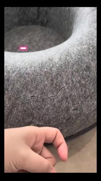 #动物迷惑行为 #蓝猫#奇妙的动物 #拔罐猫#教学视频