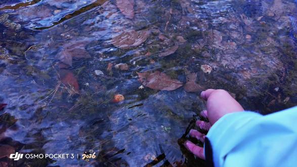 充满鲜花的世界到底在哪里#蓝月谷 #丽江玉龙雪山下