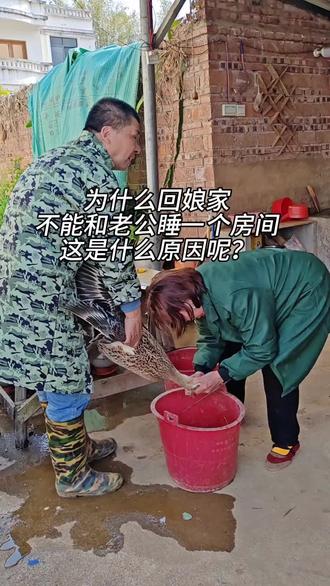 嫁出去女儿回娘家,为什么不能和老公一起睡?你们那里也是这样的习俗吗? #记录真实生活 #回娘家 #传统习俗#回村生活