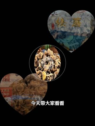 【天源吉业】长白山榛蘑手选去根干货250g*1袋/2袋