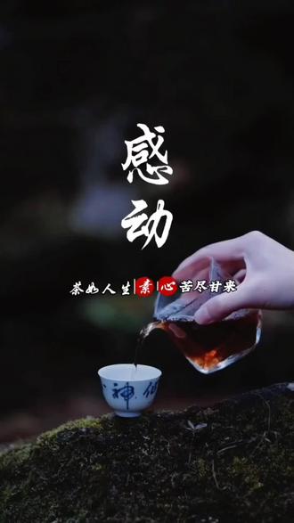 不要听一个人对你说了什么,要看他/她为你做了什么,永远不要被廉价的语音感动,必竟那都是不需要面本的。#不要听一个人对你说了什么 #茶 #茶情感 #情感
