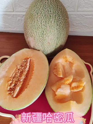 快来薅这个#新疆哈密瓜 皮薄肉厚,脆甜可口,果香味巨浓,真的超级好吃,而且是现摘现发货的,真的可以试试#哈密瓜 #脆甜多汁 #好物推荐分享