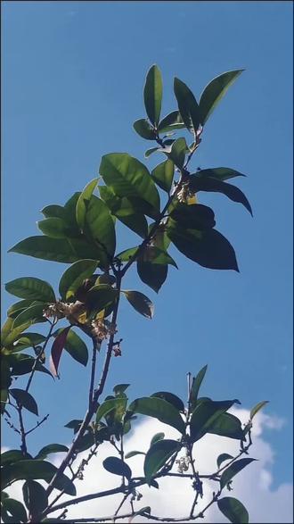 #活过明白 #音乐分享 原来活明白的代价,是弄丢了曾经的自己,看清了人心的复杂,学会沉默自愈。不得不承认,时间改变了很多人,甚至很多事……