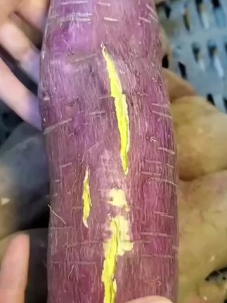 喜欢吃红薯的,一定要试试我们家这个板栗红薯,又粉又面又香#板栗红薯#粉糯香甜 #美食分享 #吗呀太香了