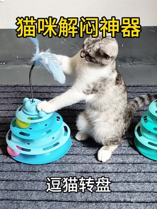 【逗猫转盘】这款逗猫转盘,是猫咪的自嗨神器,猫咪能开心玩一整天!#萌宠好物 #转盘 #猫玩具 #猫用品 #无限回购的宝藏单品