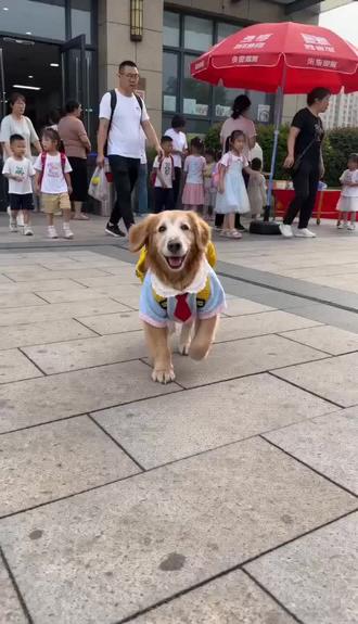 #AI小可爱想吃雪糕