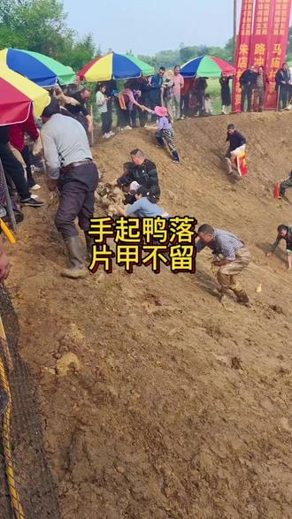 冲鸭!抓鸭送鸭,评论区告诉我,要是你能不能抓到鸭#我的乡村生活 #乡村守护人 #抓鸭#活动现场 #乡村振兴