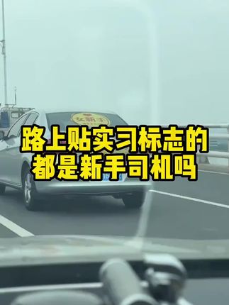 #实习新手车贴 #实用好物 #好物推荐🔥