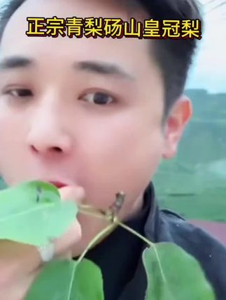 这个梨好甜#优质水果 #强烈推荐 #花小磊#好物推荐🔥