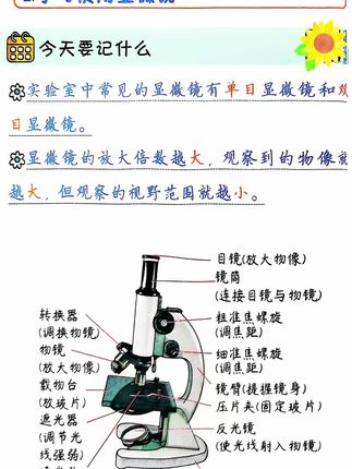 初中各科睡前5分钟考点暗记,内容丰富有趣,漫画图解容易理解,小巧便捷方便孩子背记#初中#小四门 #教辅推荐