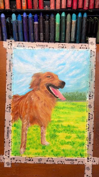 粉丝投稿油画棒金毛犬教程太治愈啦! 你发一张毛孩子的照片,我就送你一幅专属油画棒小画~
#你敢发我敢画 #油画棒 #画画 #宠物手绘 #小狗画像