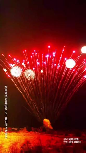 隔着屏幕,欣赏一下烟花的花式。#烟花炮竹